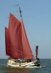 Klipper De Hoop Boot  Friesland - Bild 1