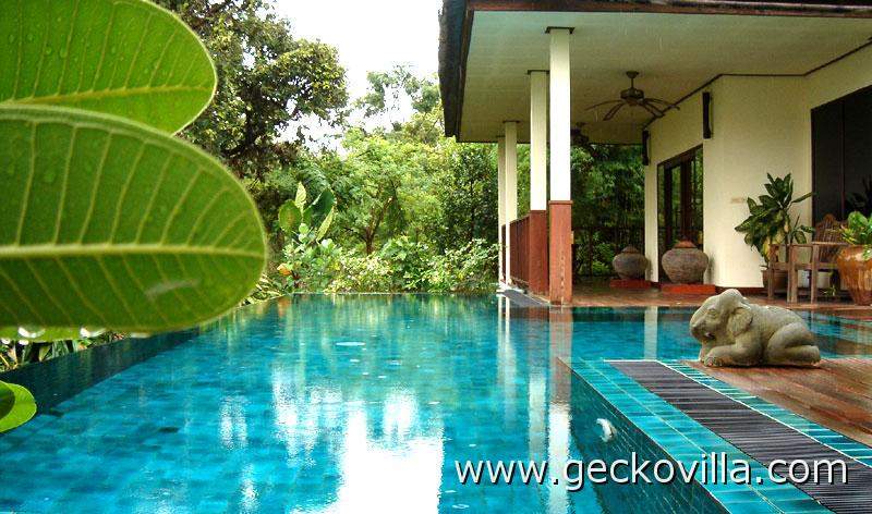 Privater Pool am Gecko Villa