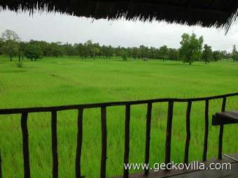 Gecko Villa Ferienhaus in Thailand - Bild 5