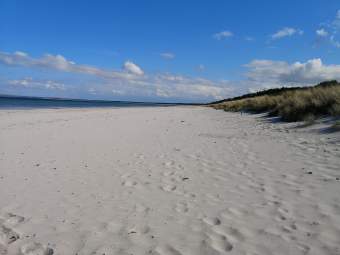 Rügen Direkt am Sandstrand Meerblick Sauna Ferienwohnung an der Ostsee - Bild 8