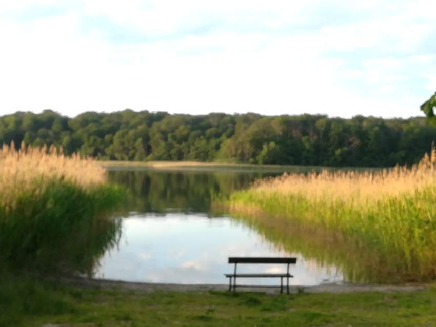 am Carwitzer See
